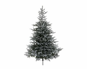 Everlands Künstlicher Weihnachtsbaum Grandis Fir 210cm beschneit