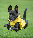 Bild 2 von CHIARA® Hunde-Regenmantel mit Geschirr SCOTTY, XS