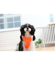 Bild 2 von puppia® Hundegeschirr Neon Soft B