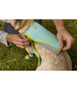 Bild 2 von RUFFWEAR® Hunde-Kühlweste Swamp Cooler Zip™ Vest Aurora Teal Mist Blue