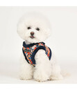 Bild 4 von puppia® Hundegeschirr Gianni B