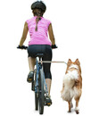 Bild 2 von Dobar petlife Fahrradleine Walky Dog Plus