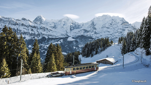 Schweiz - Winter-Erlebnisreise - Berner Oberland Wilderswil - 3* Jungfrau Hotel
