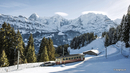 Bild 1 von Schweiz - Winter-Erlebnisreise - Berner Oberland Wilderswil - 3* Jungfrau Hotel
