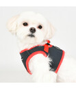 Bild 2 von puppia® Hundegeschirr Soft B II