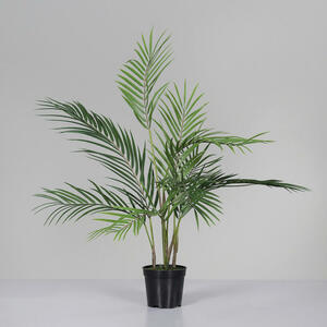 LIVARNO home Magnolie, Kunstpflanze 59,99 cm für Lidl € von 190 ansehen