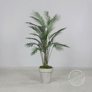 LIVARNO home Kunstpflanze Magnolie, 190 59,99 cm Lidl für € von ansehen