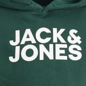 Jack&Jones Junior JJECORP LOGO SWEAT HO Hoodie