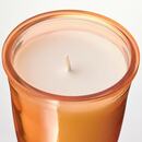 Bild 2 von ASPSKOG  Duftkerze im Glas, Würziger Kürbis/orange