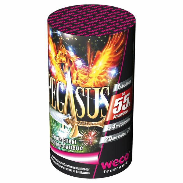 Bild 1 von WECO®  Fontänen-Batterie „Pegasus“