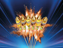 Bild 1 von WECO Raketensortiment „Gold-Raketen“