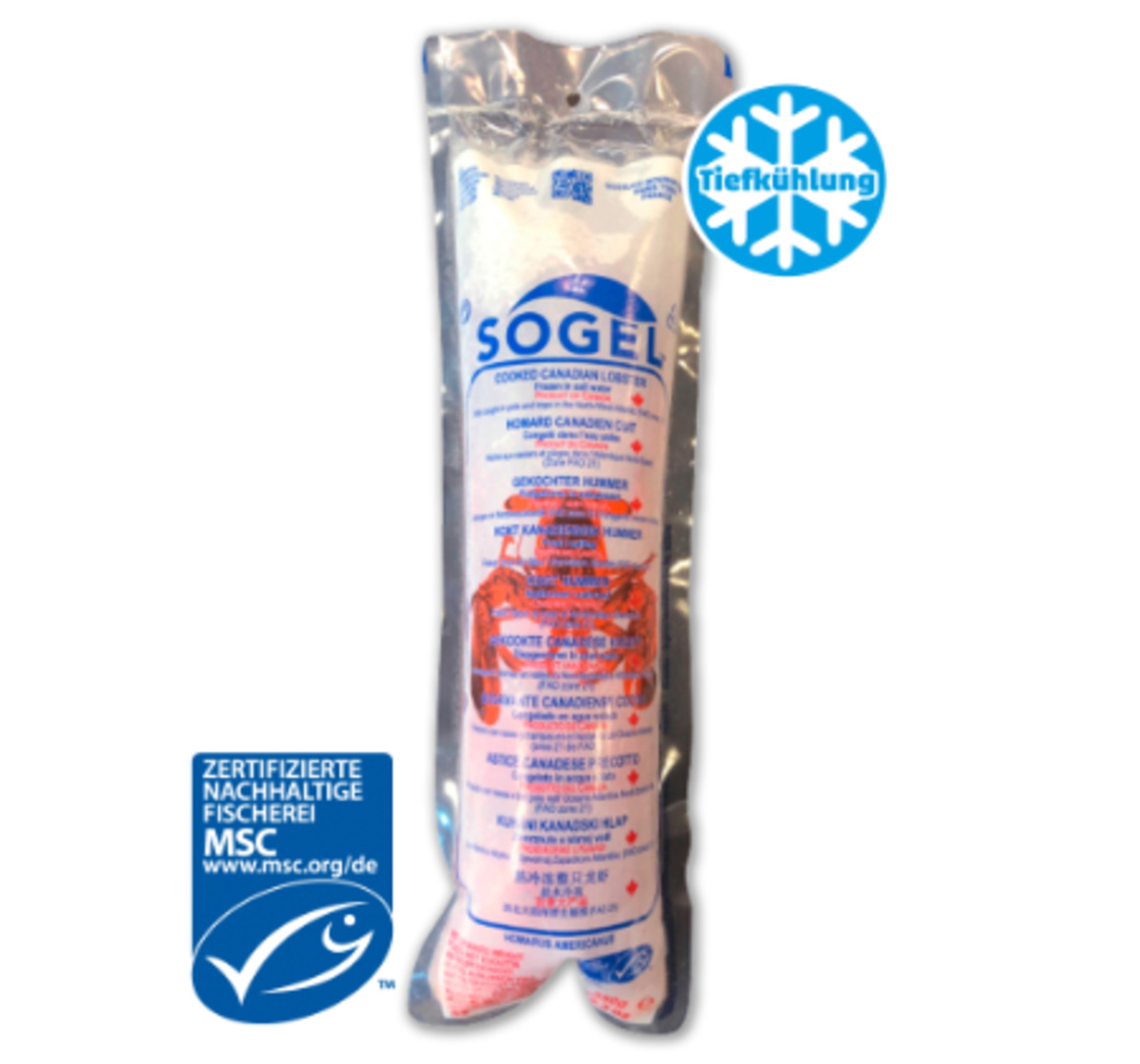 Bild 1 von SOGELMSC Ganzer Hummer