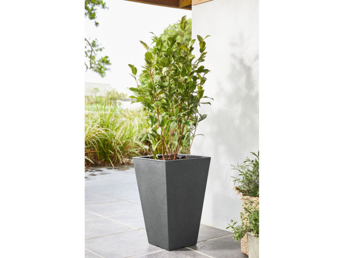 Bild 2 von LIVARNO home Pflanztopf, eckig, Kunststoff, H 55 cm