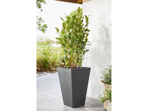 Bild 2 von LIVARNO home Pflanztopf, eckig, Kunststoff, H 55 cm