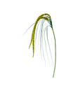 Bild 1 von Kunstpflanze Amaranthus, 70 cm