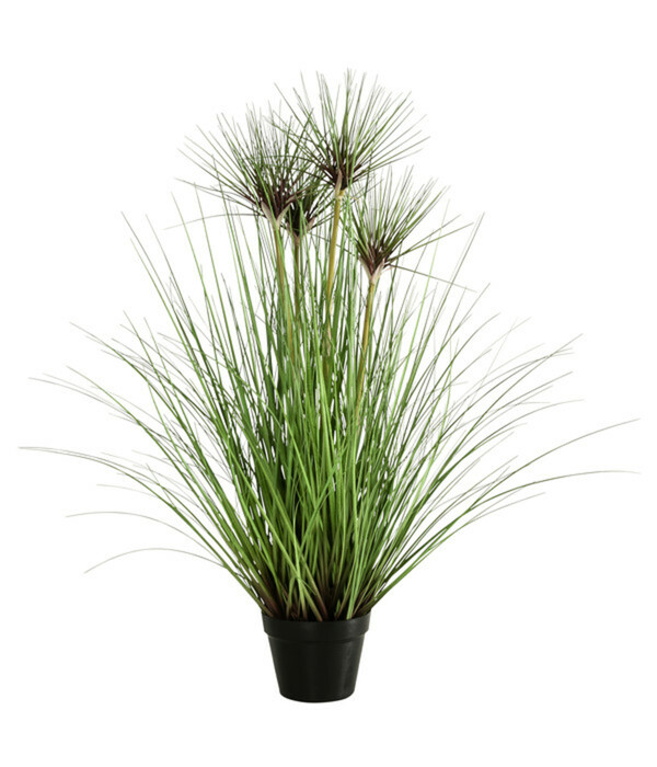 Bild 1 von Dehner Kunstpflanze Gras