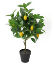 Bild 1 von Dehner Kunstpflanze Zitronenbaum