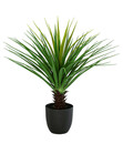 Bild 1 von Dehner Kunstpflanze Yuccapalme