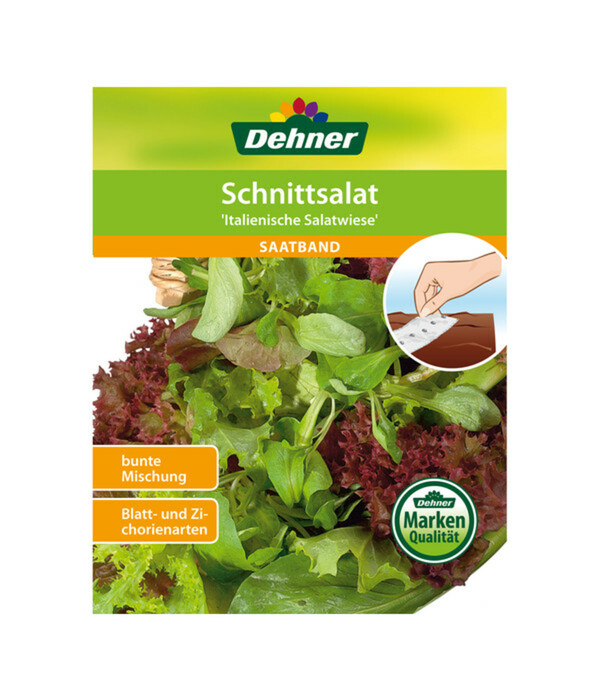Bild 1 von Dehner Saatband Schnittsalat 'Italenische Salatwiese'