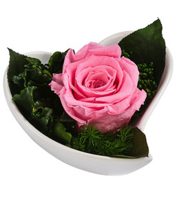 Dehner Herzschale mit Longlife-Rose Lena, rosa, ca. B11/H7 cm