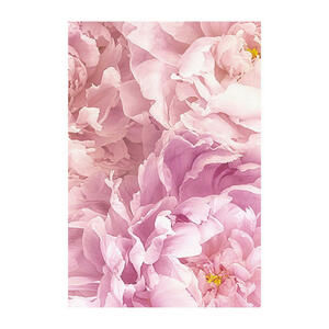 Komar Wandbild Soave Blumen B/L: ca. 50x70 cm