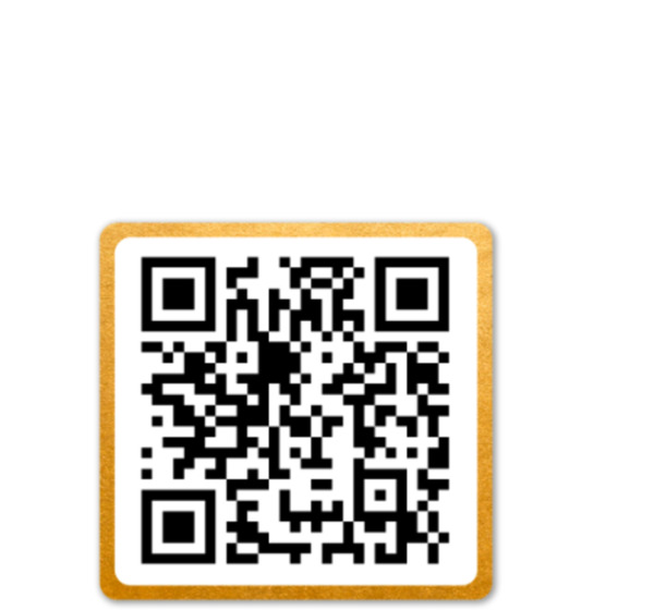 Bild 3 von WECO STARFLYER