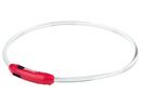 Bild 2 von Zoofari LED Hundehalsband / Hundeleuchtband mit USB-Anschluss