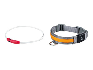 Zoofari LED Hundehalsband / Hundeleuchtband mit USB-Anschluss