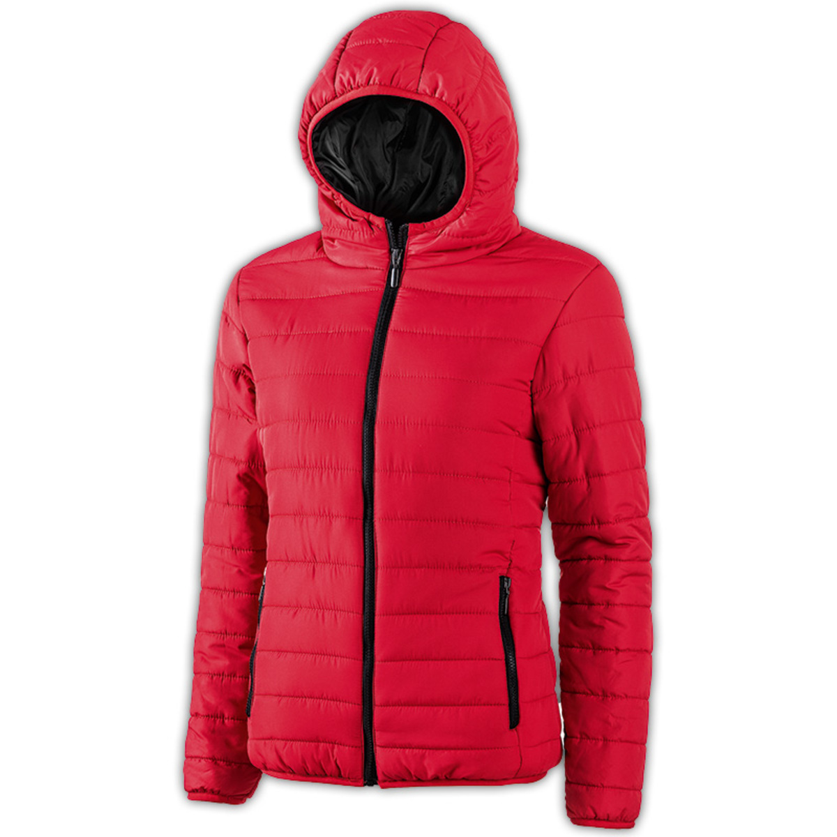 Bild 1 von Ellenor Thermo-Steppjacke