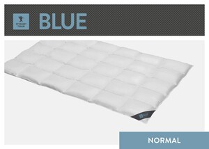 SPESSARTTRAUM Daunenbettdecke »Blue«, normal, Füllung 60% Daunen, 40% Federn, Bezug 100% Baumwolle, (1 St.), hergestellt in Deutschland, allergikerfreundlich