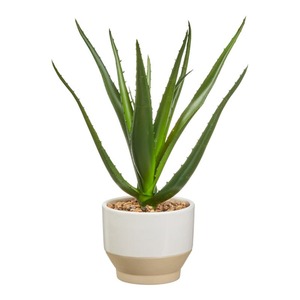 Kunstpflanze "Aloe Vera", ca. 25x25x28cm