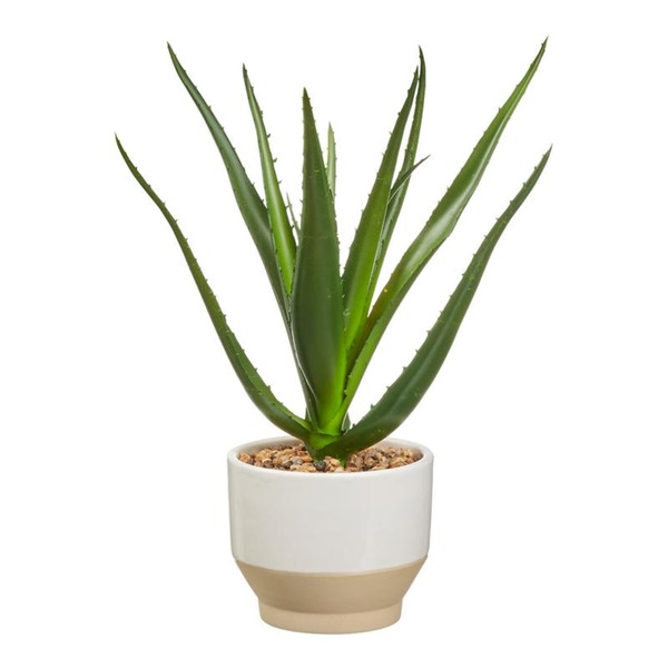 Bild 1 von Kunstpflanze "Aloe Vera", ca. 25x25x28cm