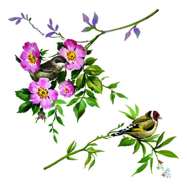 Bild 1 von Komar Fenstersticker Spring Fever Vögel Spring Fever B/L: ca. 31x31 cm