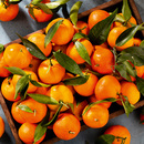 Bild 2 von Götter Frucht Premium Clementinen mit Blatt