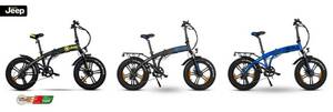 Fold FAT E-Bike FR 7100 4xe Limited Edition, 20 Kompaktrad, Falt-E-Bike, 7-Gang Kettenschaltung, black