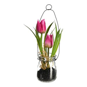 Tulpe i.Glasvase m. Metallhänger c, rosa