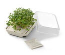 Bild 1 von Microgreens-Anzuchtset