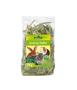 Dehner Grüner Hafer, 75 g