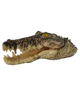 Orbit Krokodil Kopf Aquariumdeko