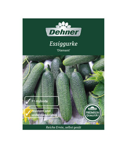 Dehner Premium Samen Essiggurke 'Diamant'