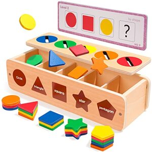 Rolimate Sortierspiel Montessori Spielzeug für 2 3 4 Jahre, Sortier Steckspielzeug mit Bunte 25-teilig Blöcke Geburtstagsgeschenk lernspielzeug fur Kinder Kleinkinder mädchen Jungs (Sortierbox)