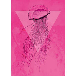 Komar Wandbild Jellyfish Pink Tiere B/L: ca. 50x70 cm