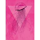 Bild 1 von Komar Wandbild Jellyfish Pink Tiere B/L: ca. 50x70 cm