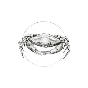 Komar Wandbild Crab White Tiere B/L: ca. 30x40 cm