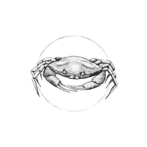 Bild 1 von Komar Wandbild Crab White Tiere B/L: ca. 30x40 cm