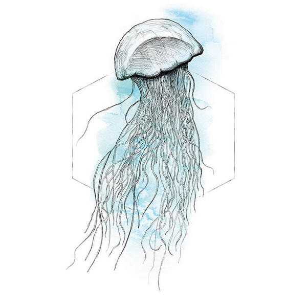 Bild 1 von Komar Wandbild Jellyfish Watercolor Tiere B/L: ca. 50x70 cm