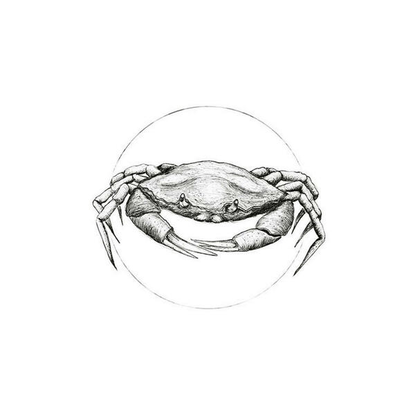 Bild 1 von Komar Wandbild Crab White Tiere B/L: ca. 50x70 cm