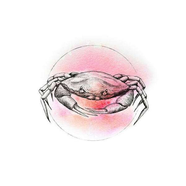 Bild 1 von Komar Wandbild Crab Watercolor Tiere B/L: ca. 30x40 cm