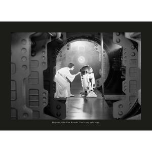 Komar Wandbild Star Wars Classic Leia R2D2 Quote Star Wars B/L: ca. 70x50 cm