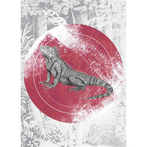 Komar Wandbild Iguana Circle Tiere B/L: ca. 50x70 cm